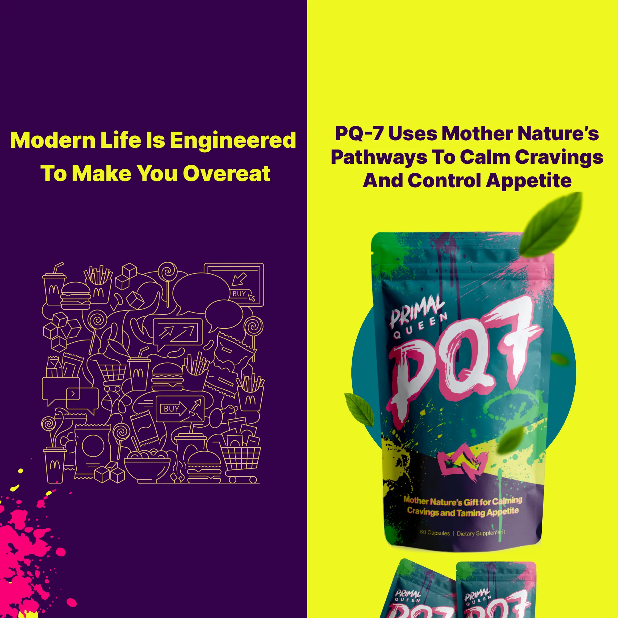 PQ7 Starter Kit (2 Months + 1 Month Free) - Image 8
