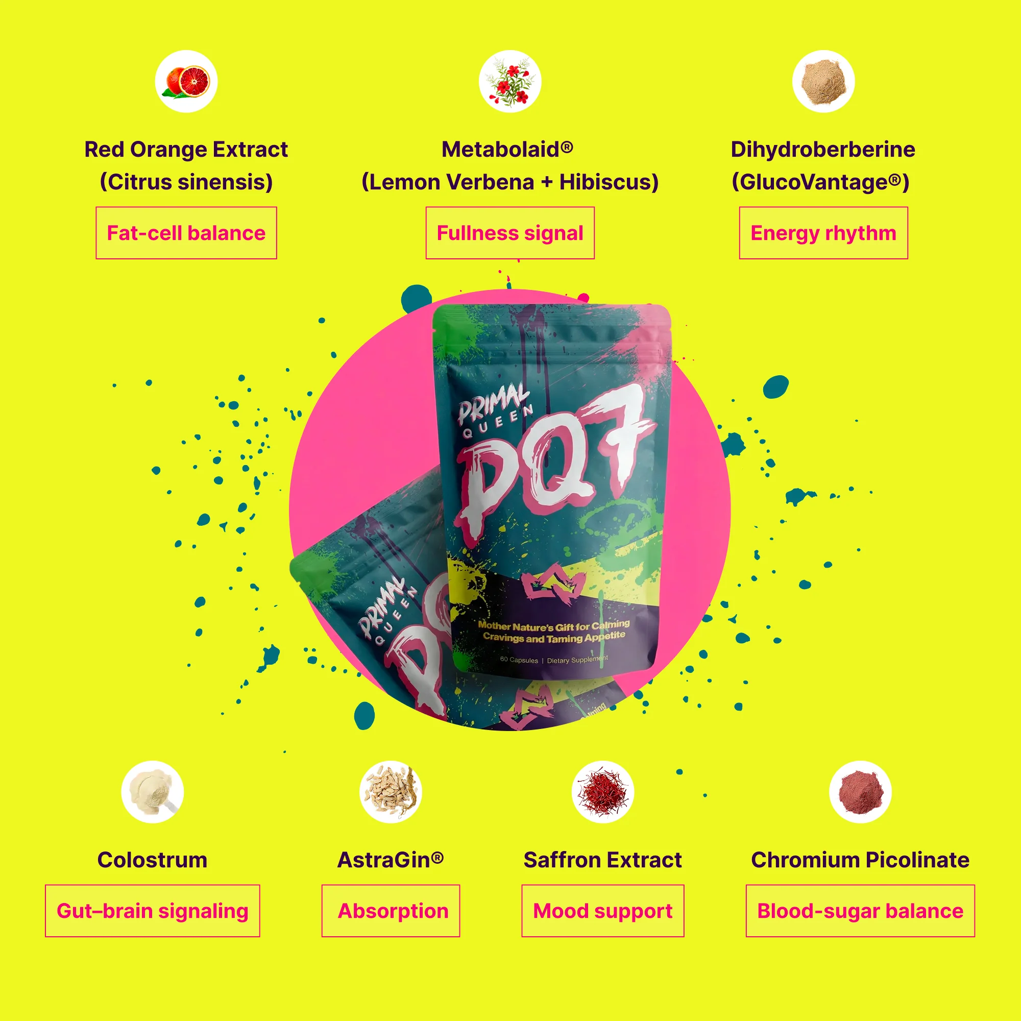 PQ7 Starter Kit (2 Months + 1 Month Free) - Image 11