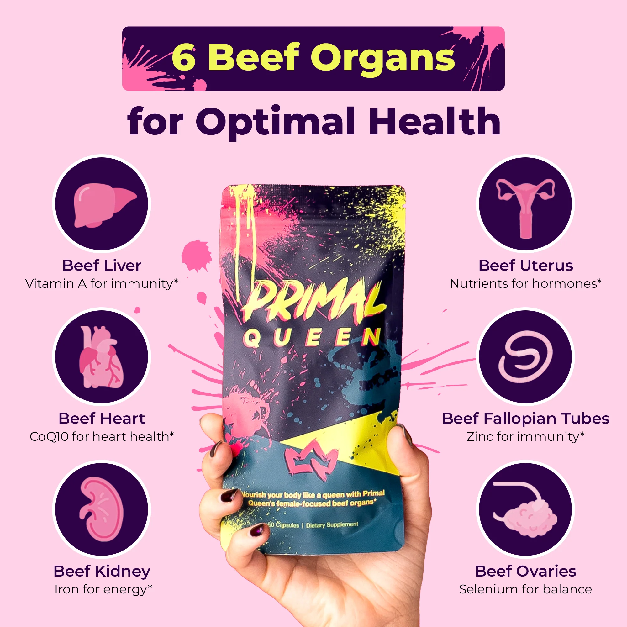 Primal Queen Starter Kit (2 months + 1 month free) - Image 4